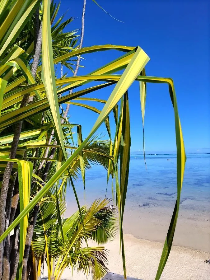 Hotel Moorea Beach Lodge